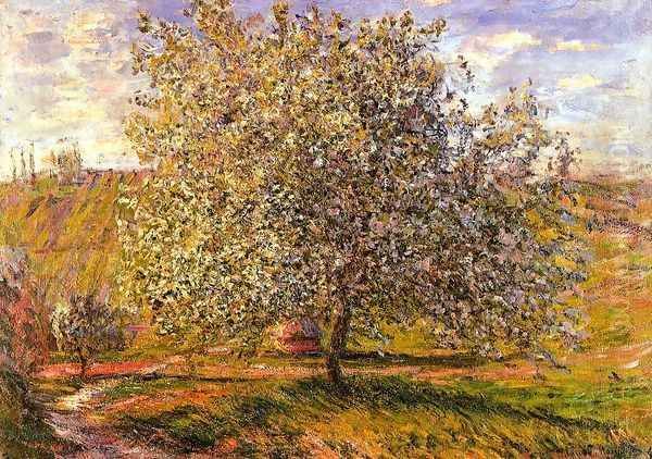 Tree In Flower Near Vetheui - view 1