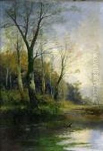 Teichlandschaft Mit Enten
