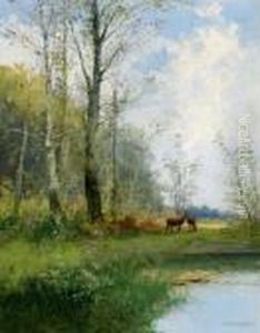 Aulandschaft Mit Wildenten Bzw. Rotwild Auf Waldlichtung