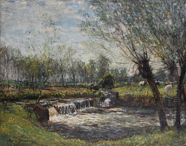 A Weir With Cattle Grazing Beyond - view 1