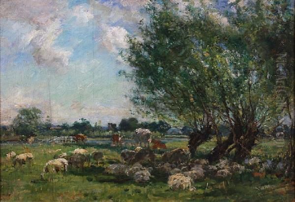 Sheep And Cattle Resting In The Shade - view 1