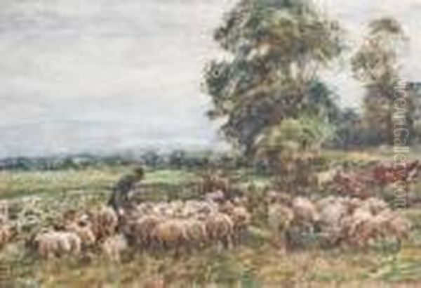 Herding The Flock - view 1
