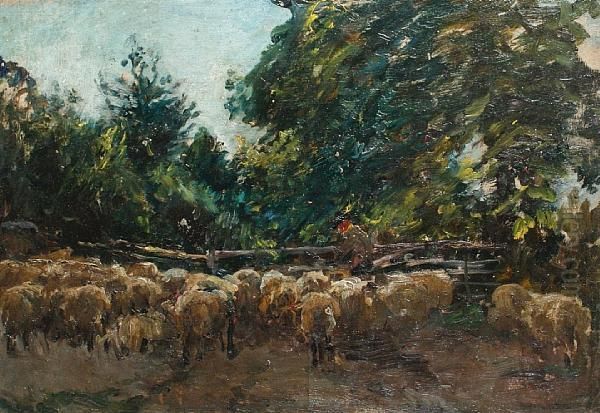 A Shepherd And His Flock - view 1