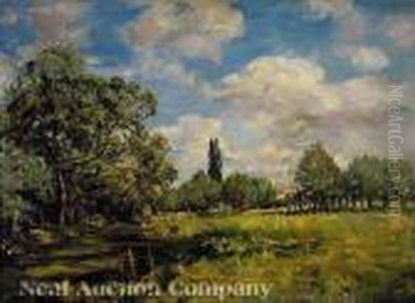 A Water Meadow - view 1