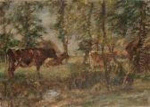 Cattle In A Clearing Cattle In A Clearing