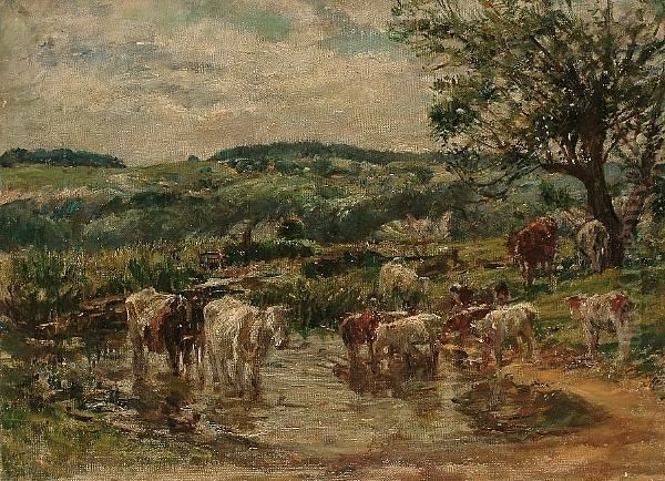 Cattle Watering, An Extensive Landscape Beyond - view 1