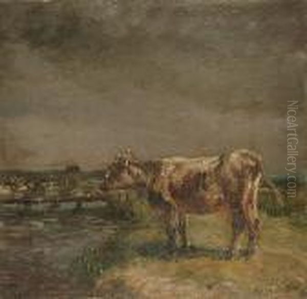 A Study Of A Standing Cow In A Landscape - view 1