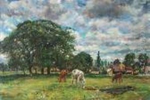 Horses In The Meadow Horses In The Meadow