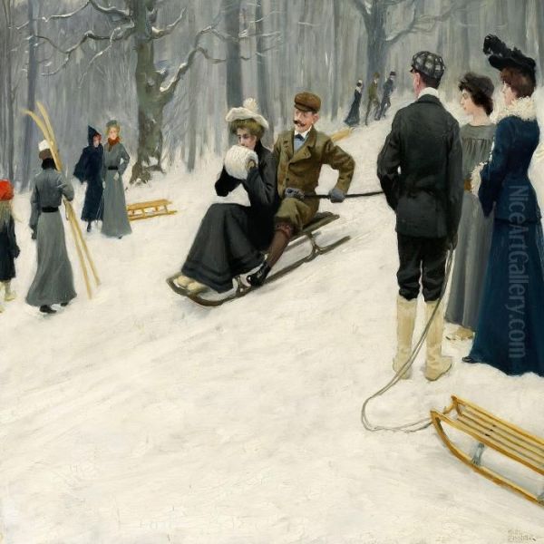 Snow Sled Ride Insondermarken - view 1