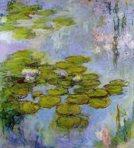 Water Lilies13