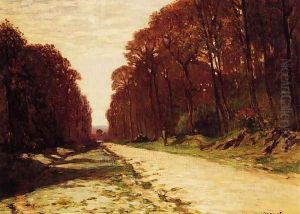 Road In A Forest