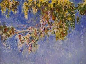 Wisteria2