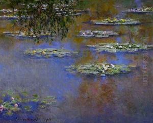 Water Lilies28