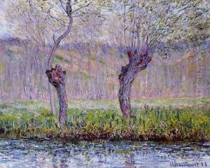 Willows In Springtime