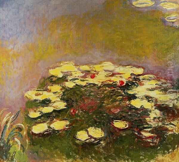 Water Lilies3 - view 1