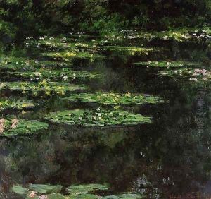 Water Lilies6