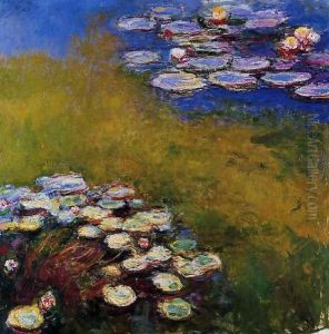 Water Lilies23