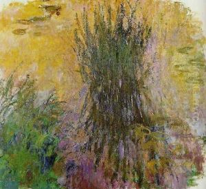 Water Lilies20