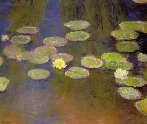 Water Lilies38 - view 1