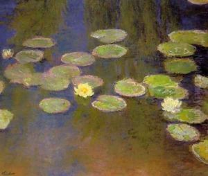 Water Lilies38