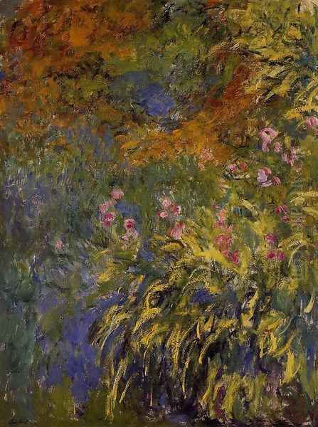 Irises - view 1