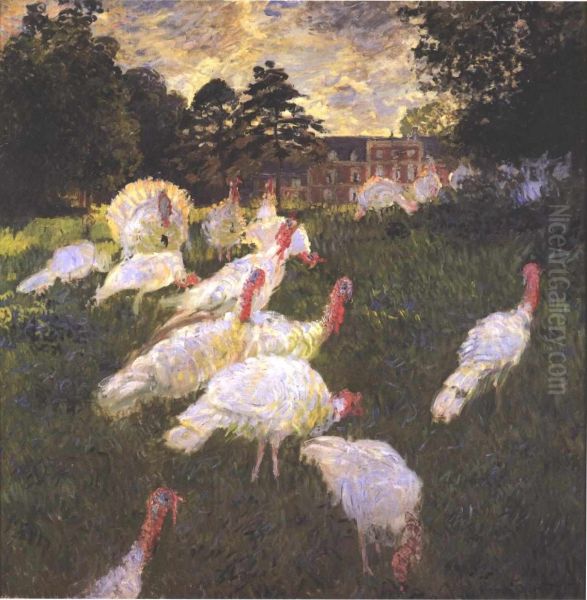 The Turkeys - view 1