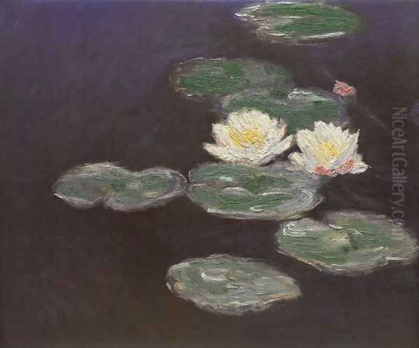 Nympheas (Waterlilies) - view 1