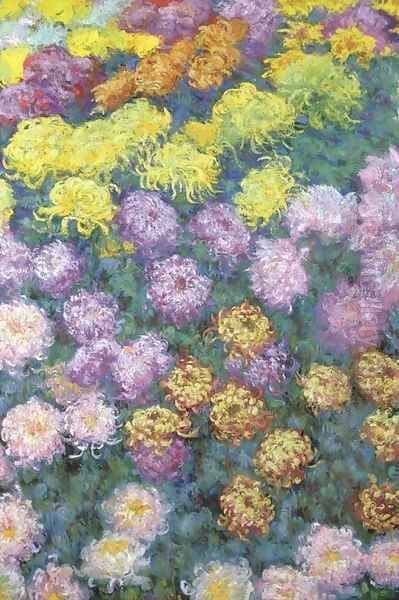Massif de chrysanthemes - view 1