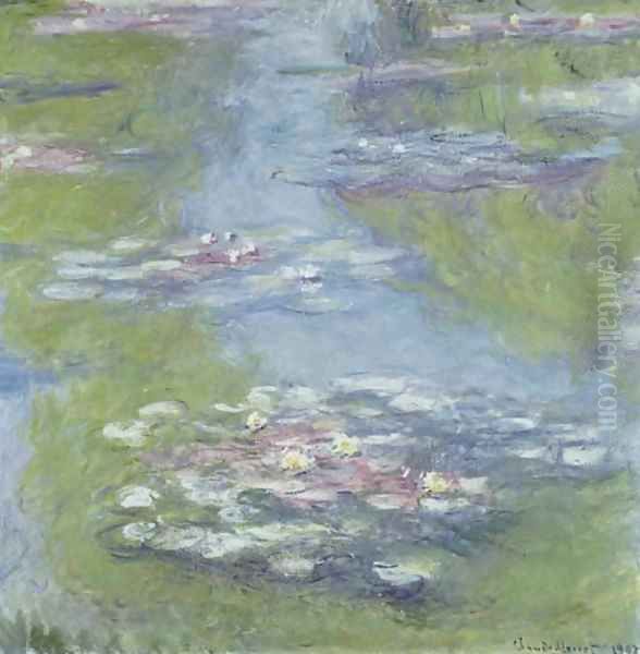 Nympheas - view 1