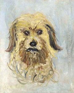 Tete de chien griffon, Follette