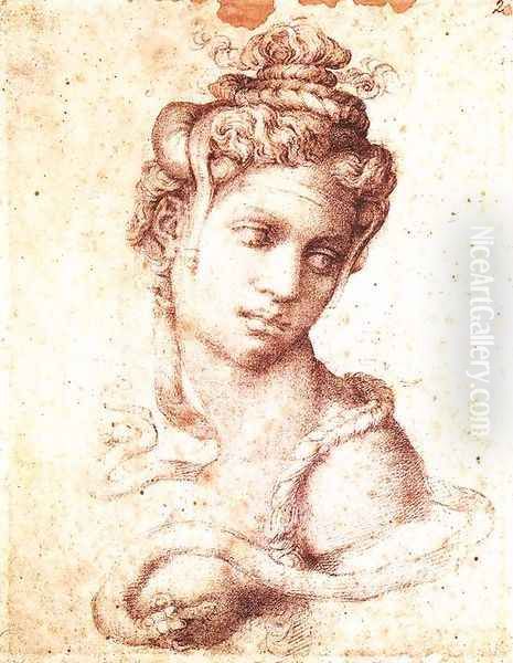 Cleopatra 1533-34 - view 1