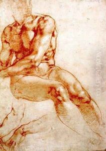Male Nude Study