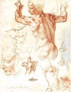 Study for the Libyan Sibyl 1511