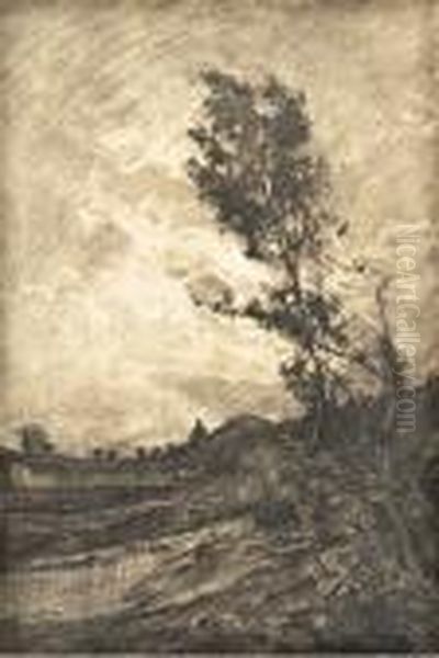 Paesaggio - view 1