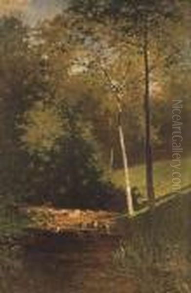 Stagno Nel Bosco Con Anatre - view 1