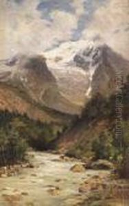 Torrente In Montagna