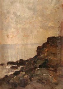 Scogliera by Carlo Follini