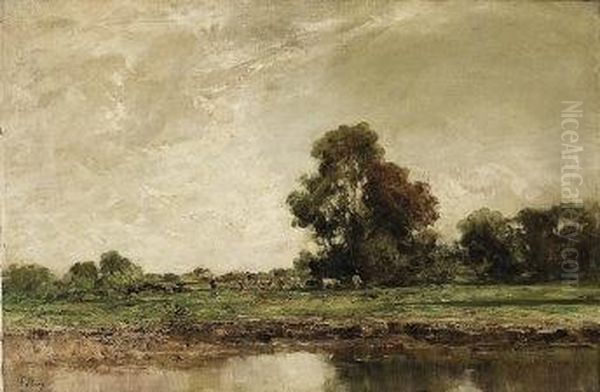 Pascolo - view 1