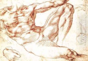 Study for Adam c. 1510