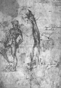 Study For An Arm Of The Marble David And The Figure Of The Bronze David by Michelangelo Buonarroti