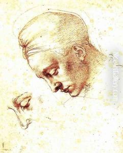 Study of a Head c. 1530 by Michelangelo Buonarroti