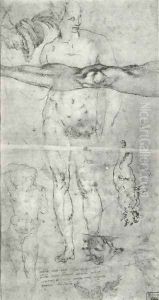 Various studies including a tracing from the other side of the sheet