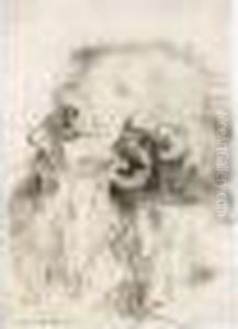 Head Of A Bearded Old Man by Francesco Fontebasso