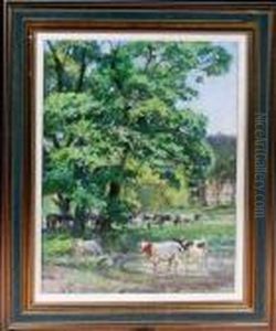 Cattle Grazing In The Grounds Of A Country House
