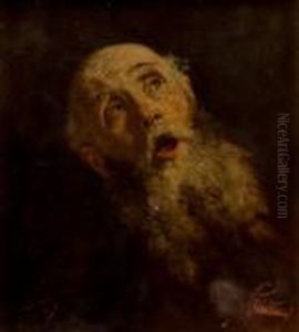 Cabeza De Anciano by Mariano Jose Maria Bernardo Fortuny y Carbo