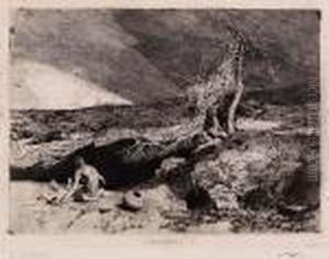 Anachorete by Mariano Jose Maria Bernardo Fortuny y Carbo