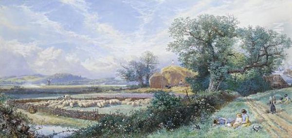 The Sheep Fold - view 1
