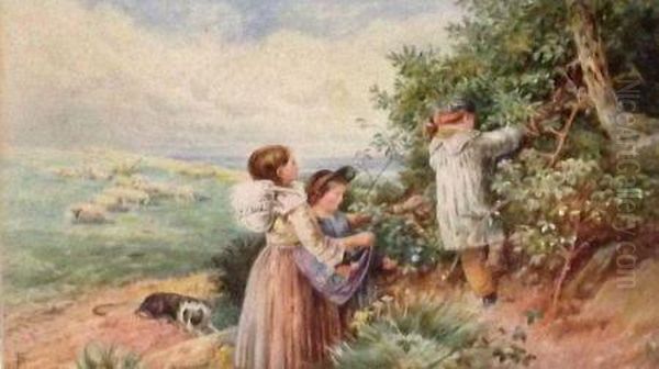 Wild Harvest - view 1
