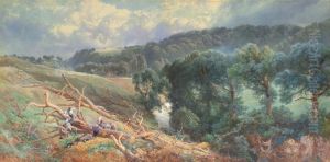 Warks Burn, Northumberland