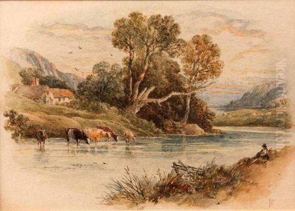 Cattle Watering With Figure On Riverbank - view 1
